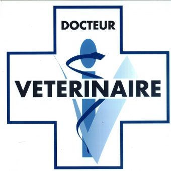 csm_veterinaire_picto_